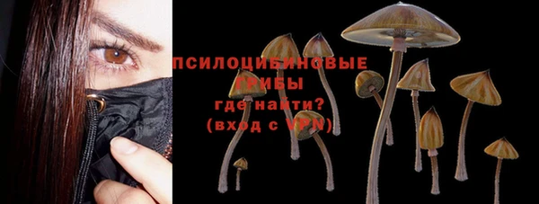 стаф Новодвинск