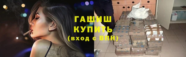 стафф Новозыбков