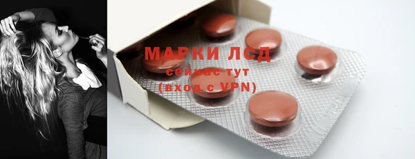 стаф Новодвинск
