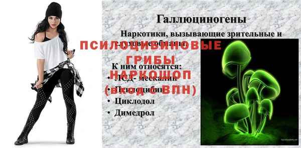 трава Новокубанск