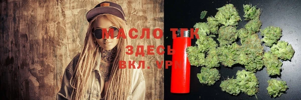 стаф Новодвинск