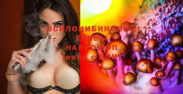 стафф Новозыбков