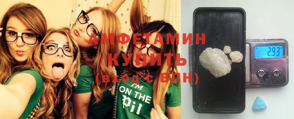 стаф Новодвинск