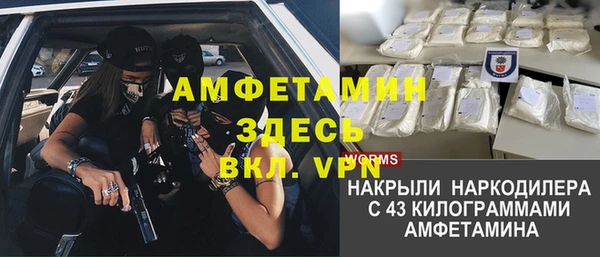 стафф Новозыбков