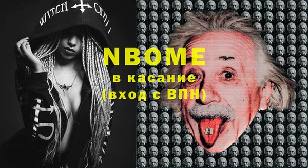 стафф Новозыбков