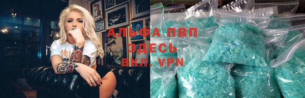стафф Новозыбков