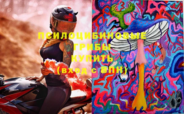 стаф Новодвинск