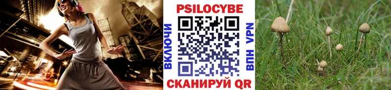 Галлюциногенные грибы GOLDEN TEACHER  Купить закладки  Алушта 